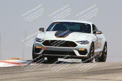 media/Jul-26-2025-Speed Ventures (Sat) [[fe569e6cf0]]/Black Group/Grapvine/